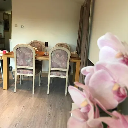 Luxe Vakantiechalet אתר קמפינג *